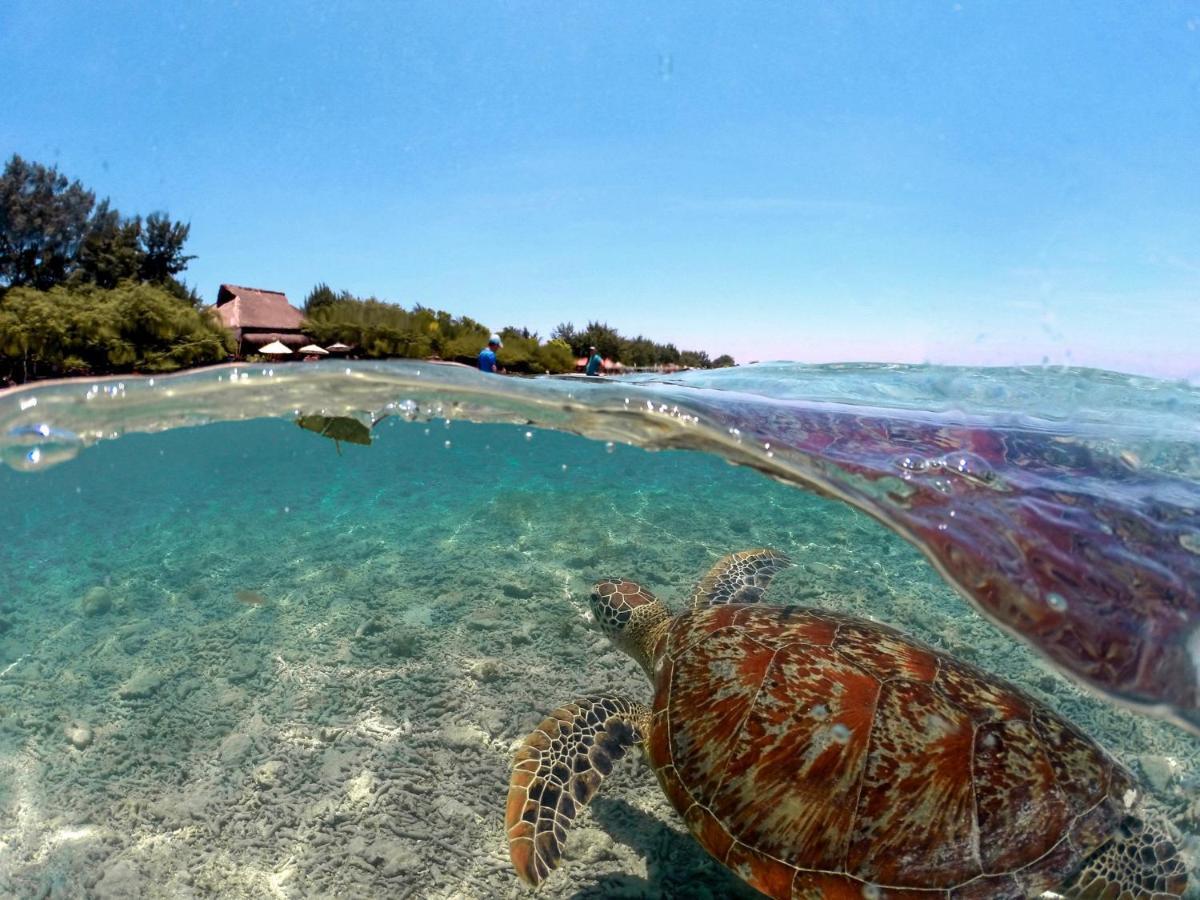 Mimpi Bungalow Gili Meno Exterior foto